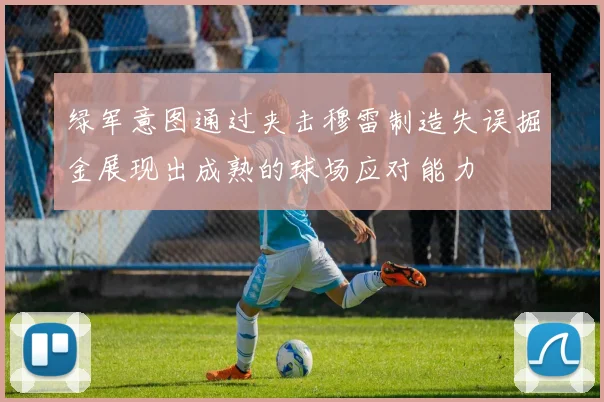绿军意图通过夹击穆雷制造失误掘金展现出成熟的球场应对能力