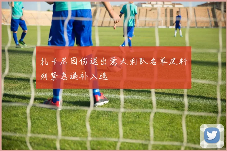 扎卡尼因伤退出意大利队名单皮科利紧急递补入选