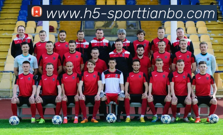 天博体育APP 封面图